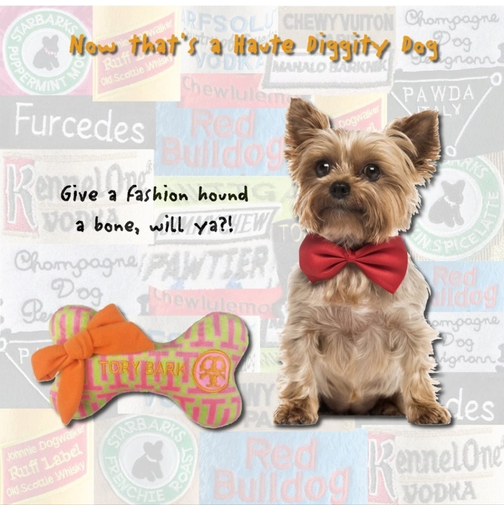 Tory Bark Squeeky Dog Bone Toy